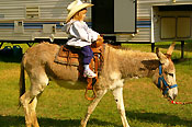 Young cowgirl on a burro