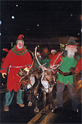 Reindeer pulling a sleigh in a parade